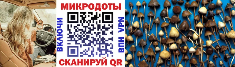Галлюциногенные грибы GOLDEN TEACHER  магазин    Юрга 
